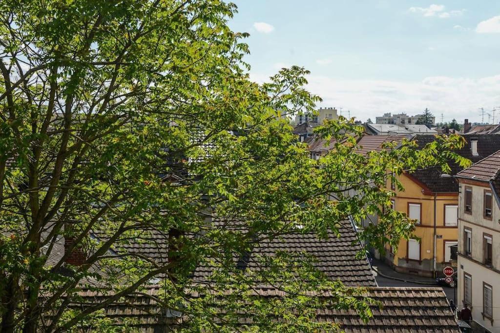 Appartement Charmant Tres Proche Centre-Ville, Parking Gratuits, Mulhouse Centre エクステリア 写真