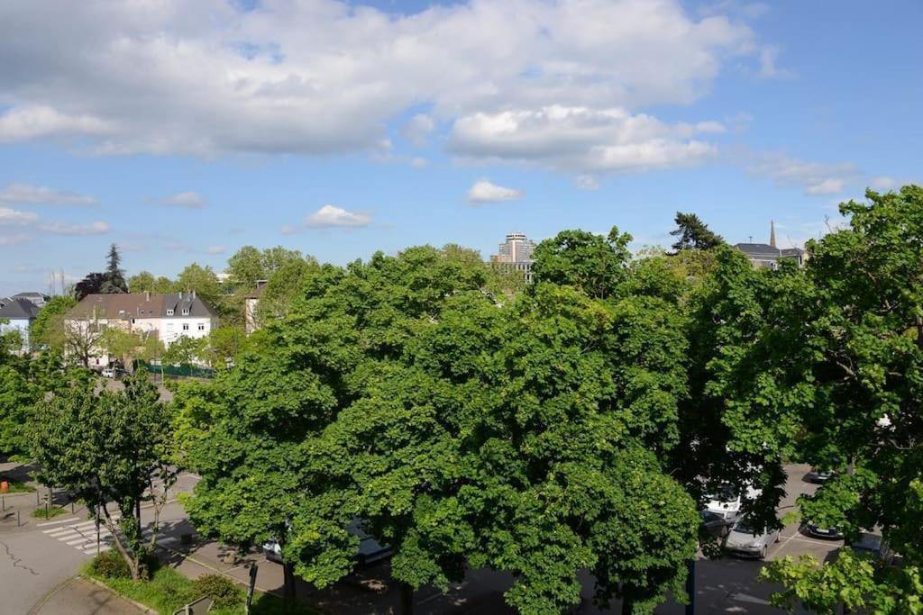 Appartement Charmant Tres Proche Centre-Ville, Parking Gratuits, Mulhouse Centre エクステリア 写真